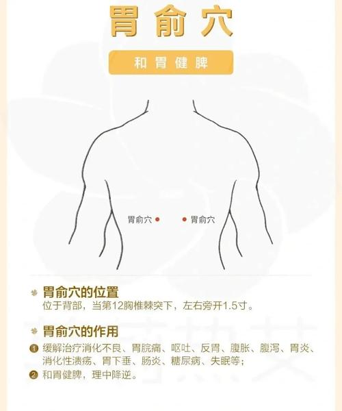 针灸调理脾胃的穴位