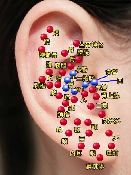 手指对应耳朵的穴位