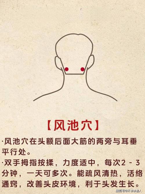 咳嗽按哪个穴位风池