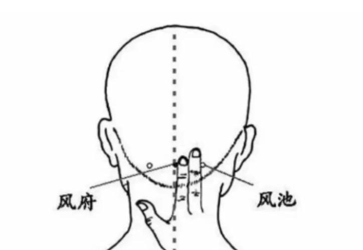 咳嗽按哪个穴位风池