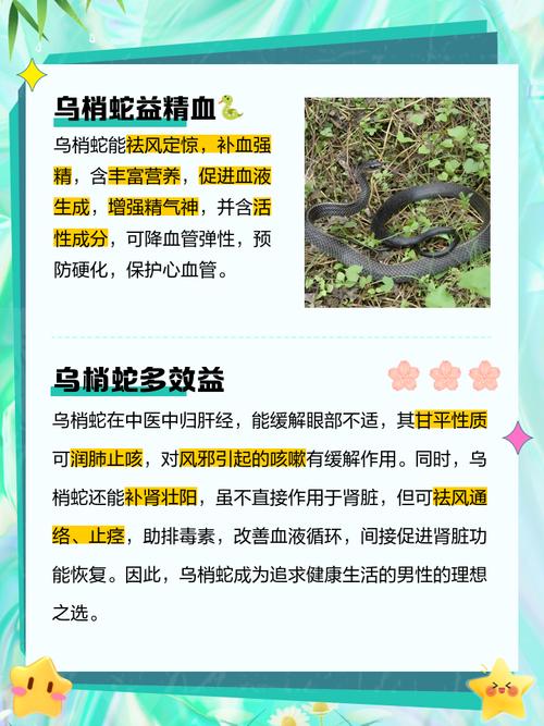 蛇都可以治疗类风湿吗