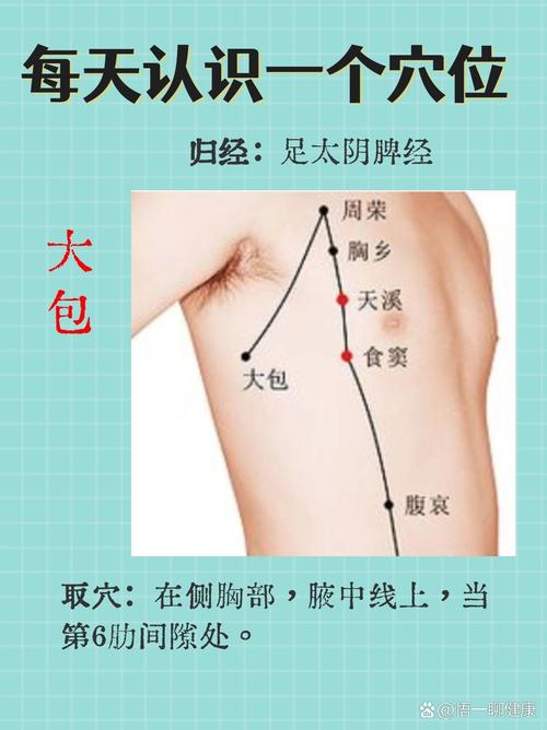 大包穴位的准确位置