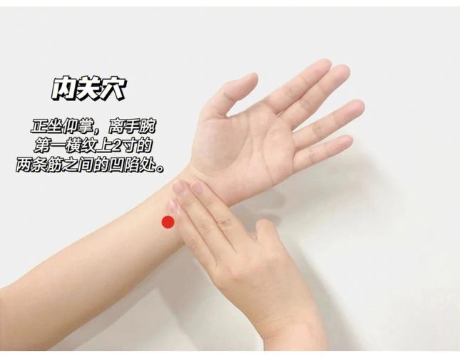 缓解孕吐按哪个穴位