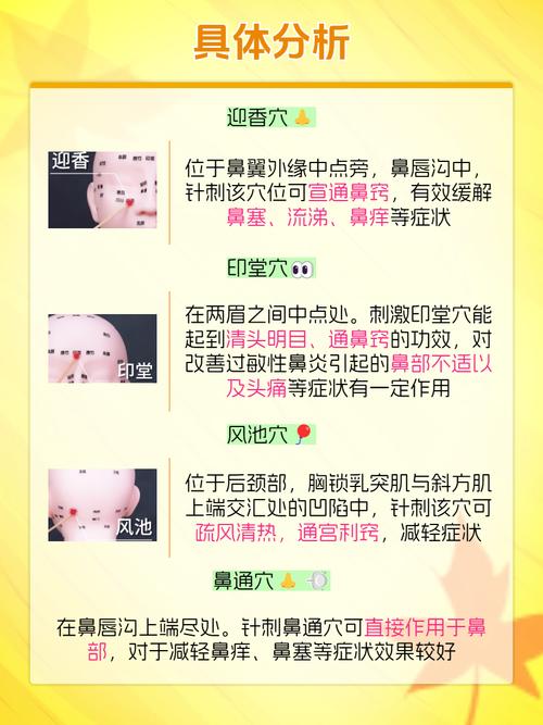 鼻梁上都有什么穴位