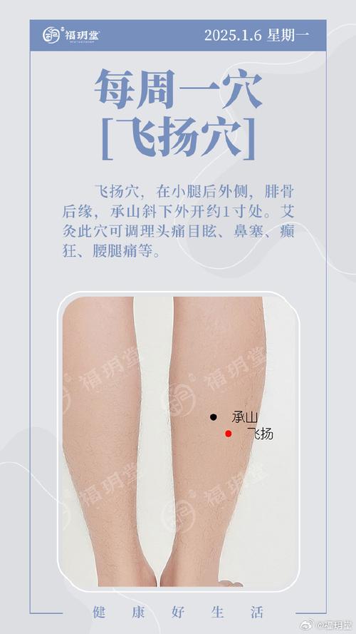 小腿侧边是什么穴位