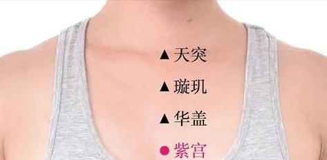 人体前胸华盖穴位图