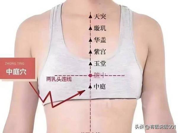 人体前胸华盖穴位图