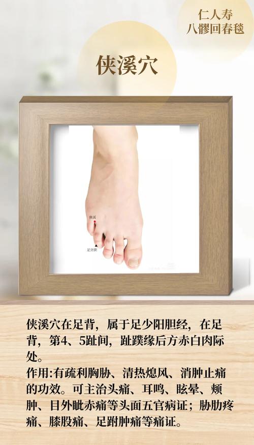 侠溪准确位置图穴位