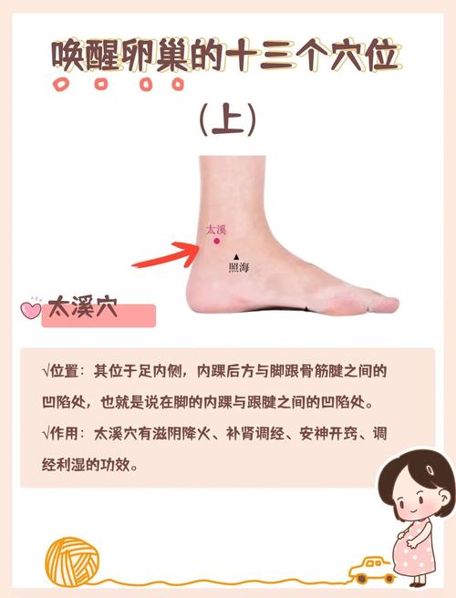 房颤的穴位治疗方法