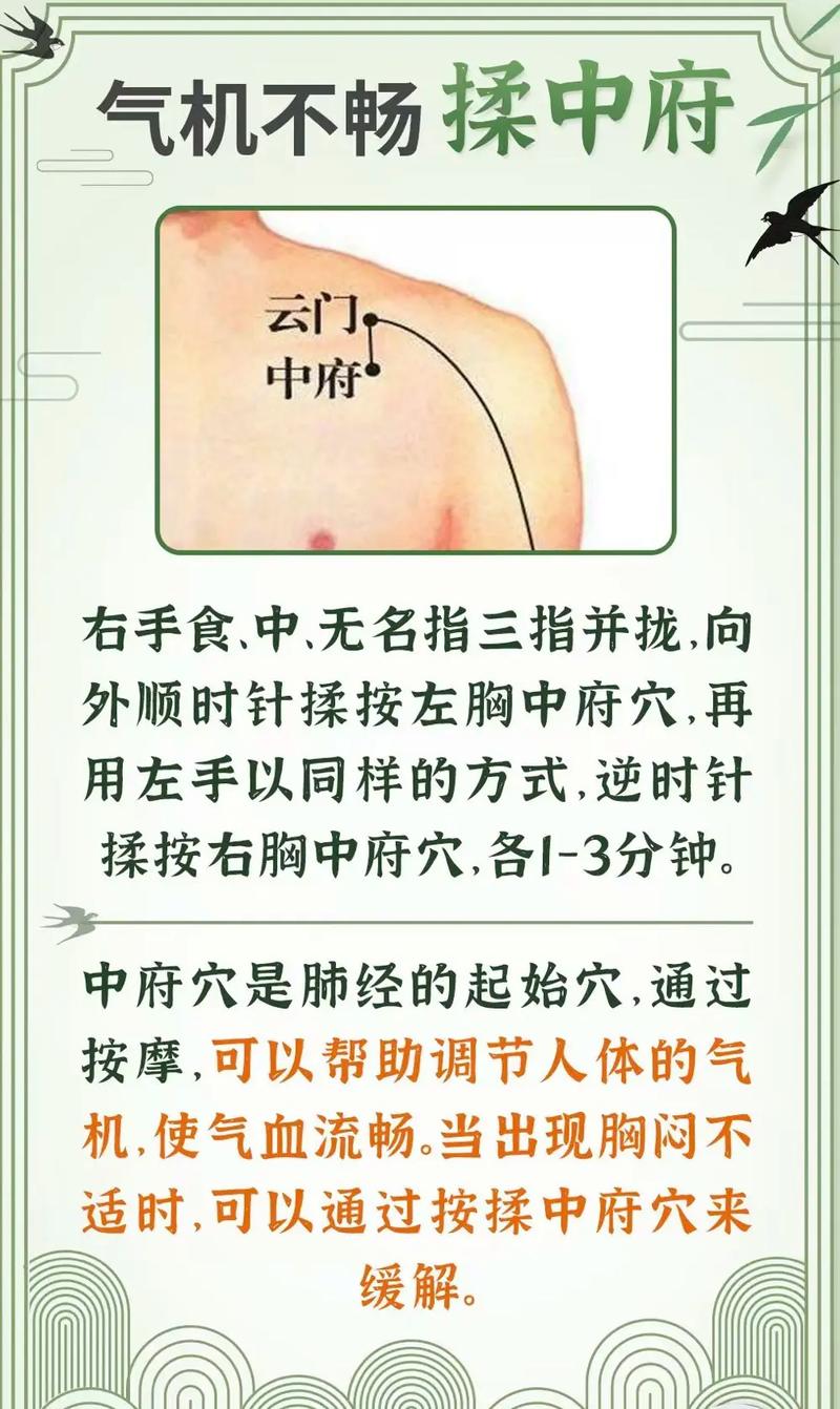 云门中府穴位高清图