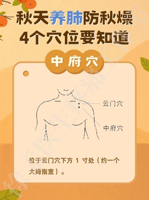 云门中府穴位高清图