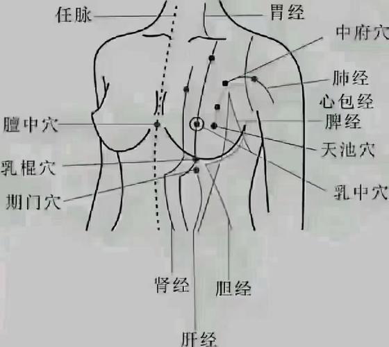 乳房周围的几个穴位