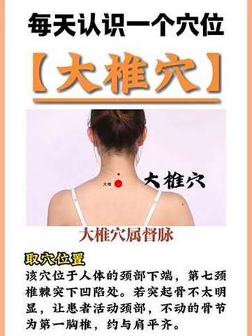 颈部大椎穴位置图片