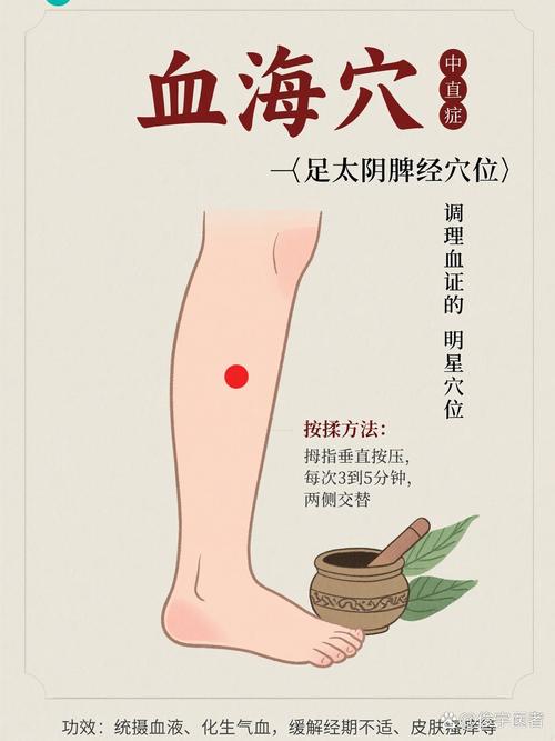 血海对面叫什么穴位