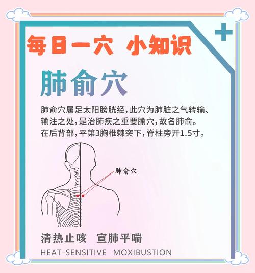 健康之路咳嗽穴位肺