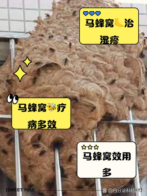 怎样用马蜂窝治疗风湿