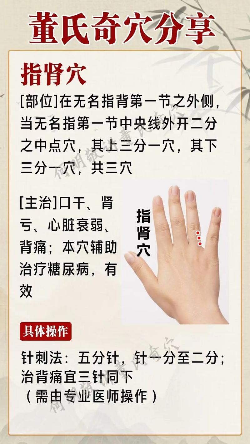 肾阳虚针炙什么穴位