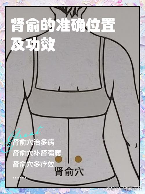 肾阳虚针炙什么穴位