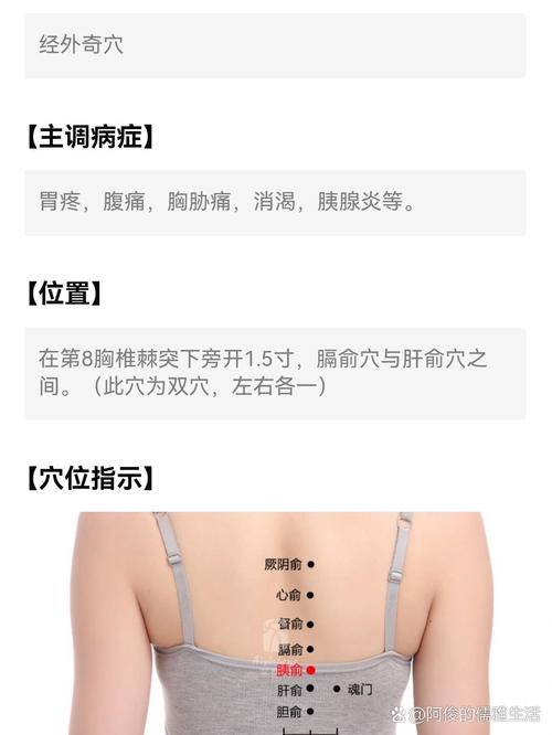 保健胰腺按什么穴位