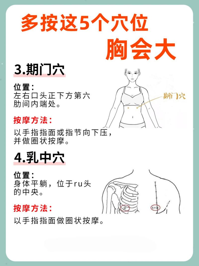 治疗乳房下垂的穴位