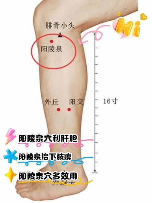 腿脚冰凉灸什么穴位