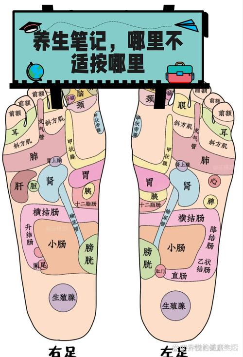 足底肺部穴位按摩图