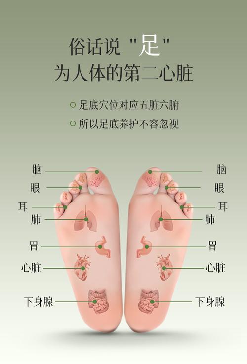 脚底心脏对应的穴位