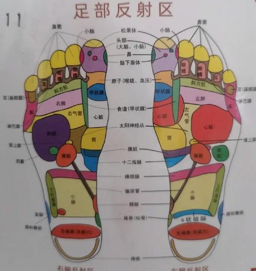 脚底心脏对应的穴位