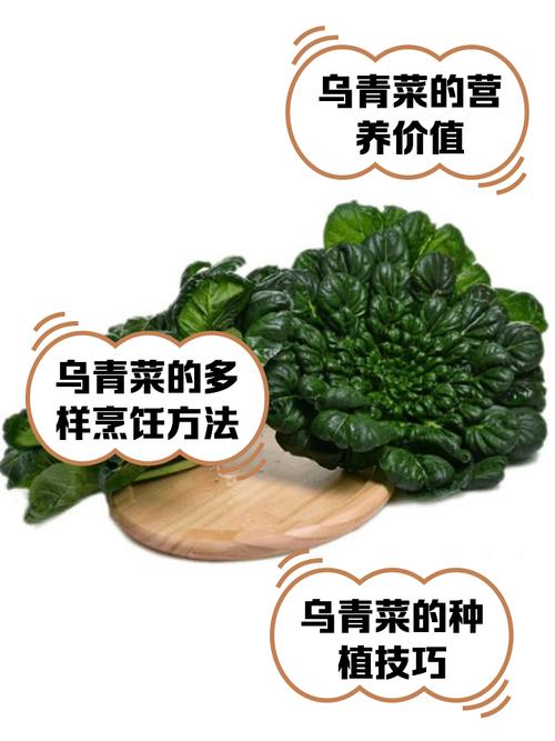 类风湿不能吃什么蔬菜