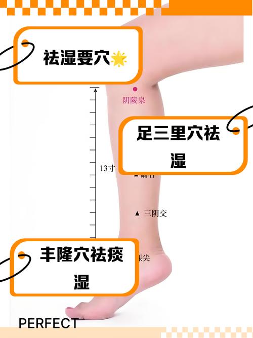 按摩什么穴位除湿热