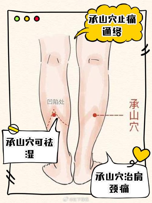 中医穴位 小腿抽经