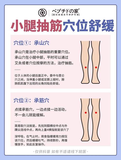 中医穴位 小腿抽经