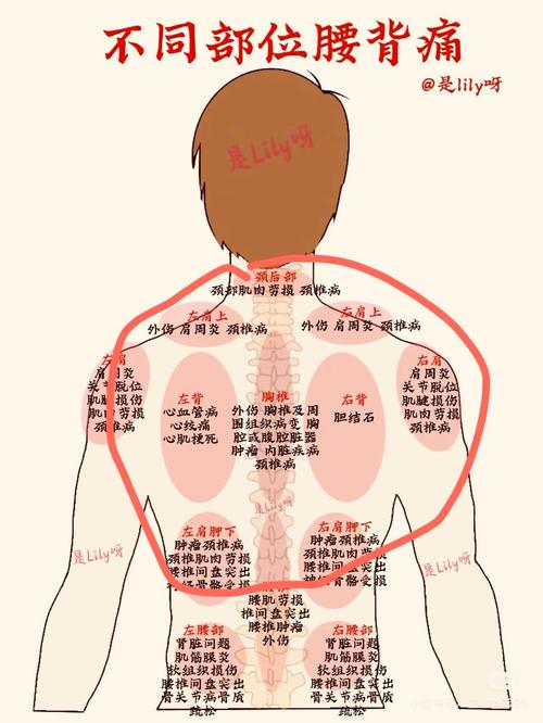 背部穴位反射区症状