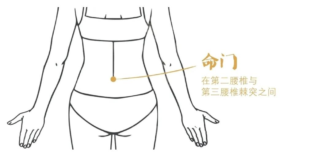命门穴位在什么位置