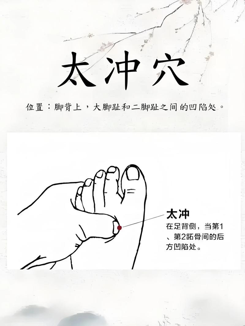 太冲穴位在什么位置
