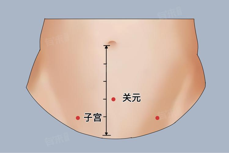 关元下面有什么穴位