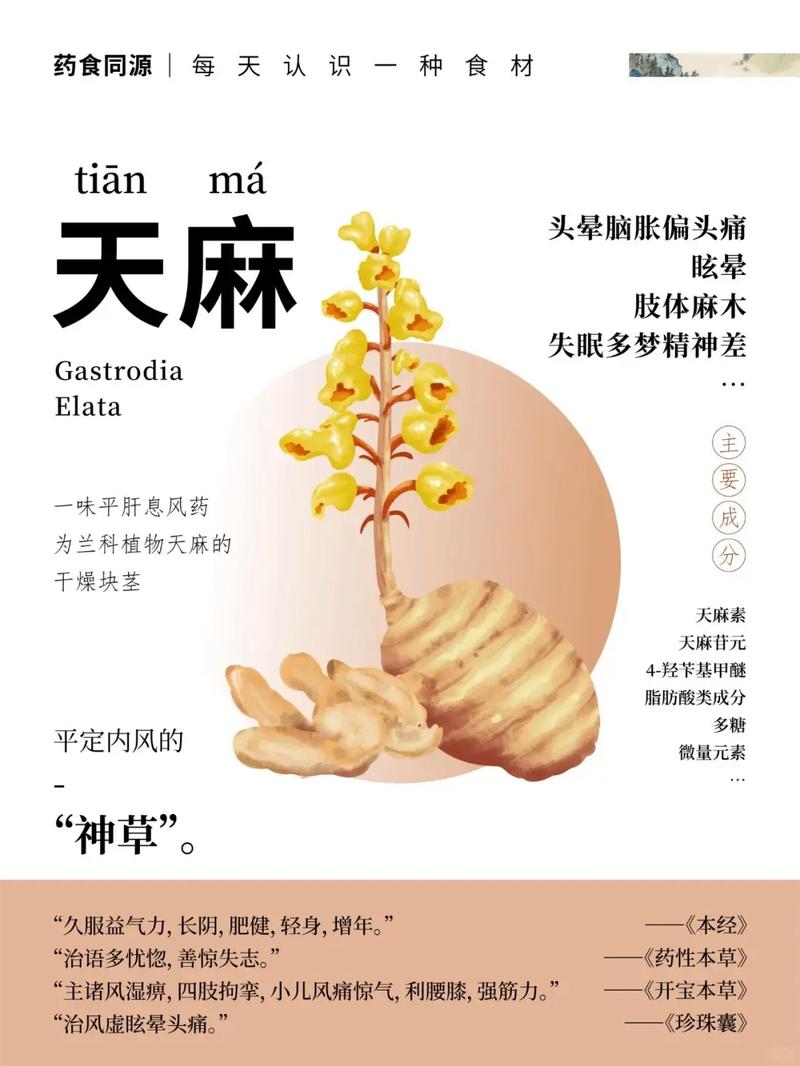 天麻对类风湿有作用吗