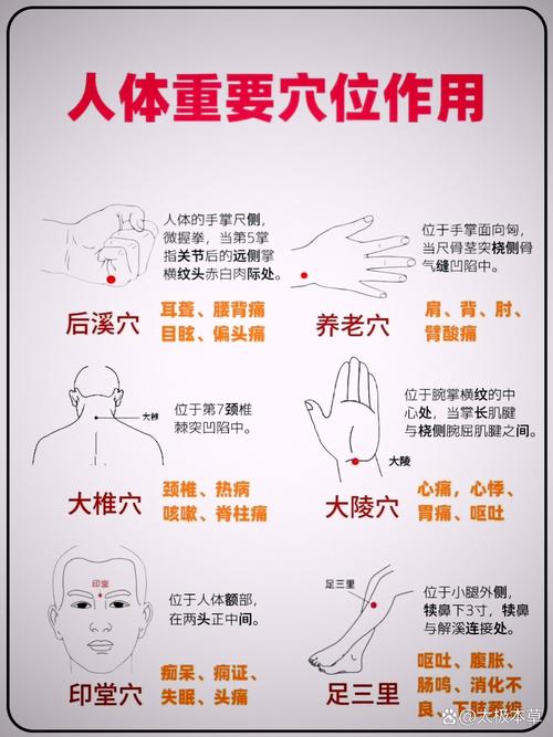 穴位按摩减肥的意思