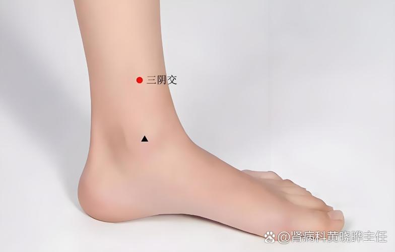 手脚肿按摩哪个穴位