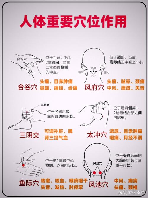 穴位按摩位置及效果