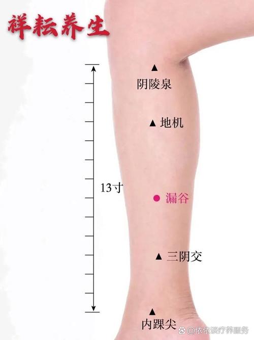 漏谷穴位位置图视频