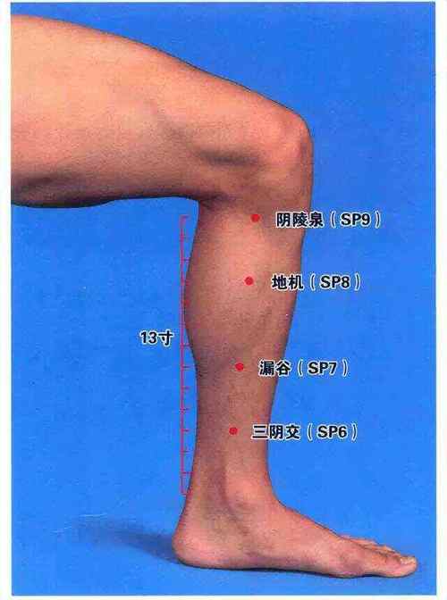 漏谷穴位位置图视频
