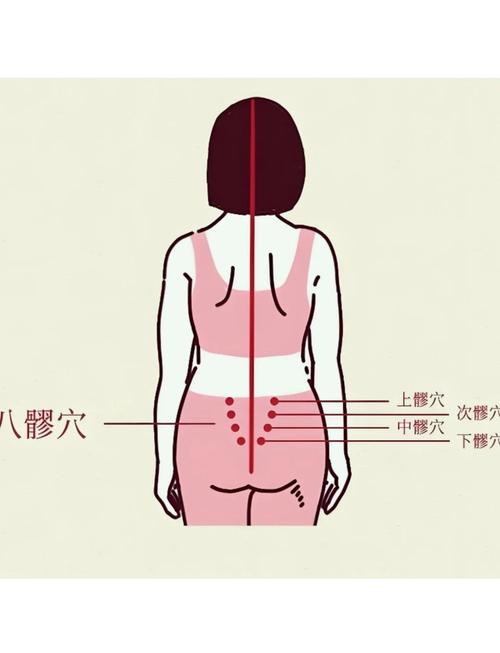 屁股下面有什么穴位
