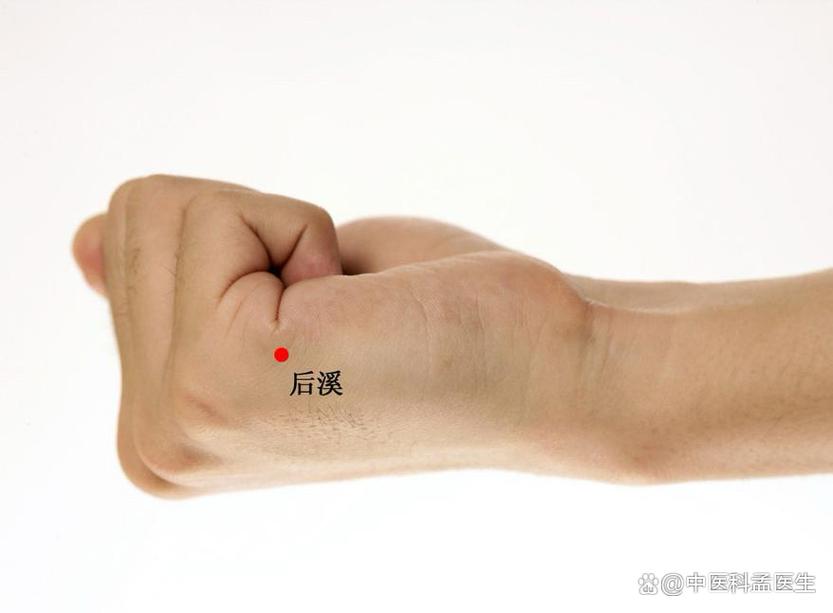 治疗夜晚盗汗的穴位