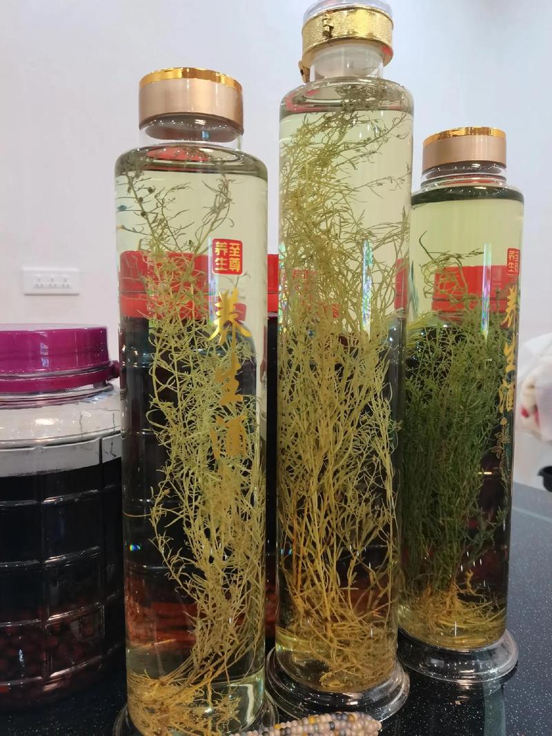 去风湿中药用什么酒泡