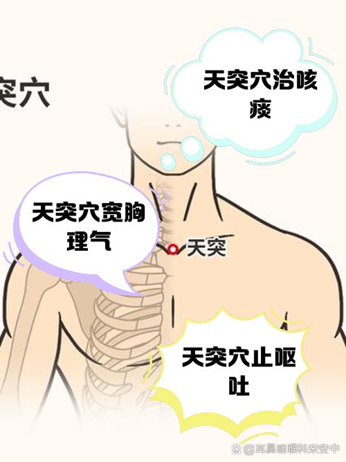 天突穴位的准确位置
