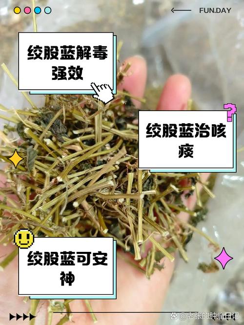 绞股蓝对脑梗有治疗吗