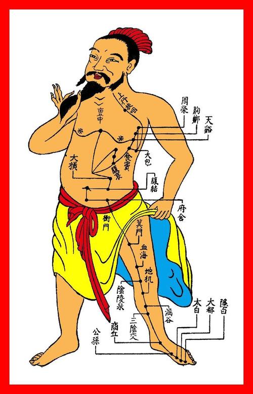 中医金锣穴位指什么