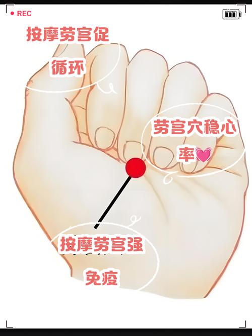 按什么穴位不会怀孕