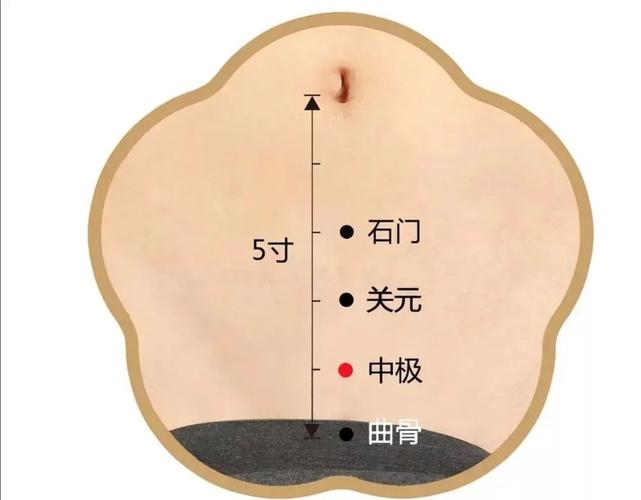 遗精严重压什么穴位